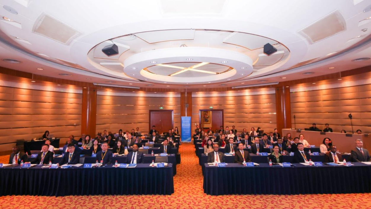 上外承办第三届全球南方智库对话会分论坛，共探南南合作与共同发展新路径