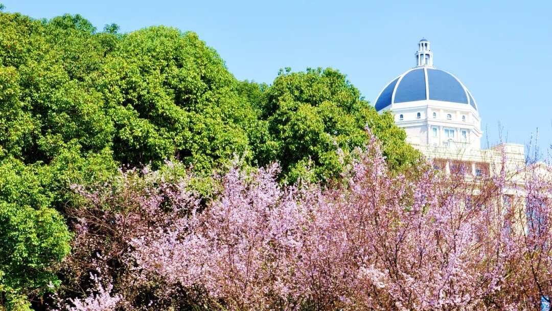 上海外国语大学举办校领导班子树立和践行正确政绩观学习教育读书班